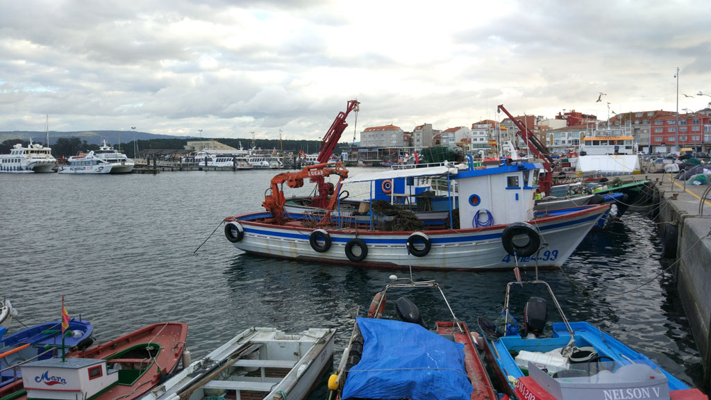 o grove barcos