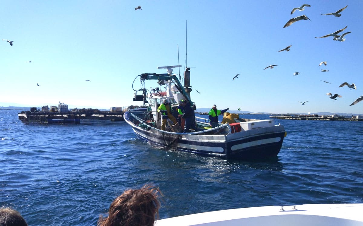 Illa de Arousa - Ruta Padre Sarmiento